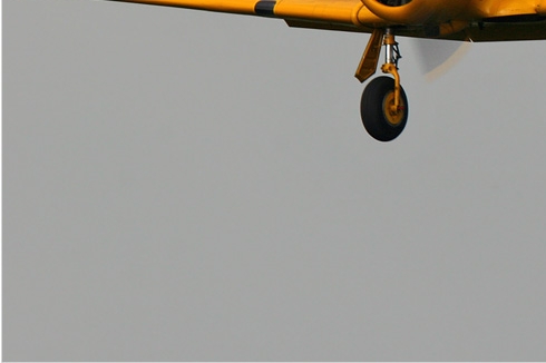 300d-North-American-SNJ-5-Texan-France