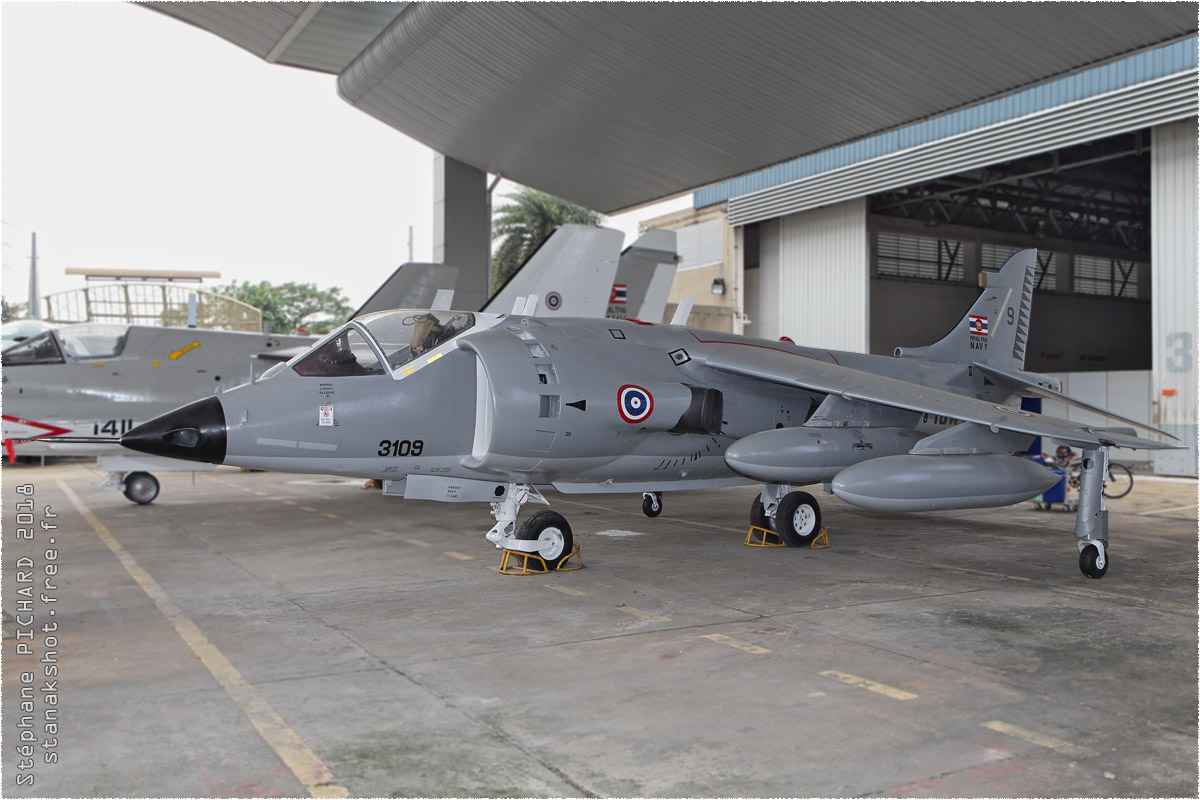 tof#10435_Harrier_