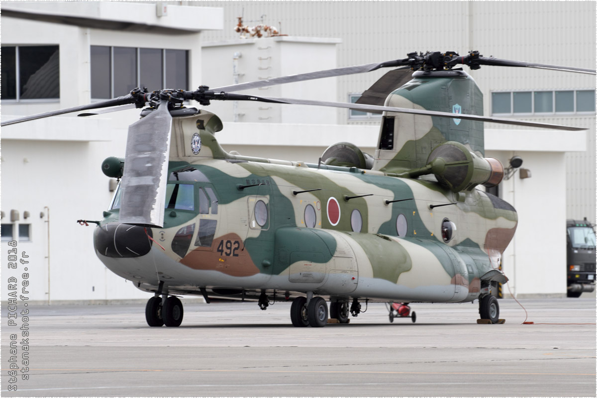 tof#11425_Chinook_