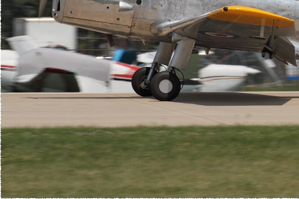 Photo#11689-3-De Havilland Chipmunk T20