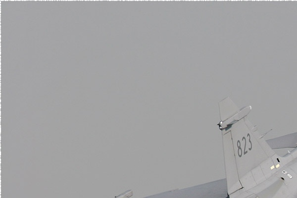 2167a-Saab-JAS39D-Gripen-Suede-air-force