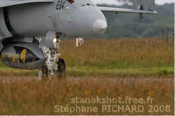 3653c-McDonnell-Douglas-F-A-18D-Hornet-Suisse-air-force