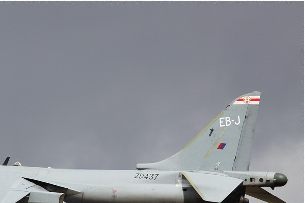 Photo#5319-2-British Aerospace Harrier GR9