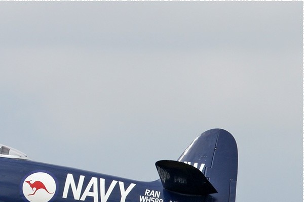 Photo#5584-2-Hawker Sea Fury FB11