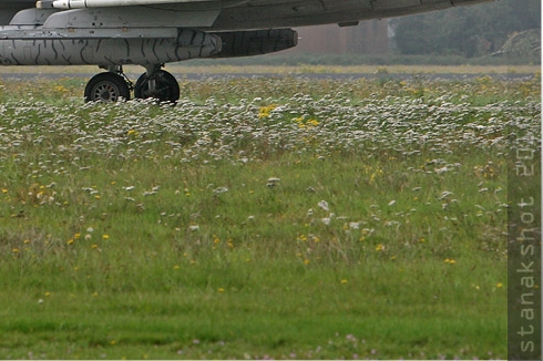 Photo#5445-4-Saab JAS39C Gripen