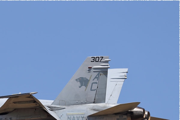 9138b-McDonnell-Douglas-F-A-18C-Hornet-USA-navy