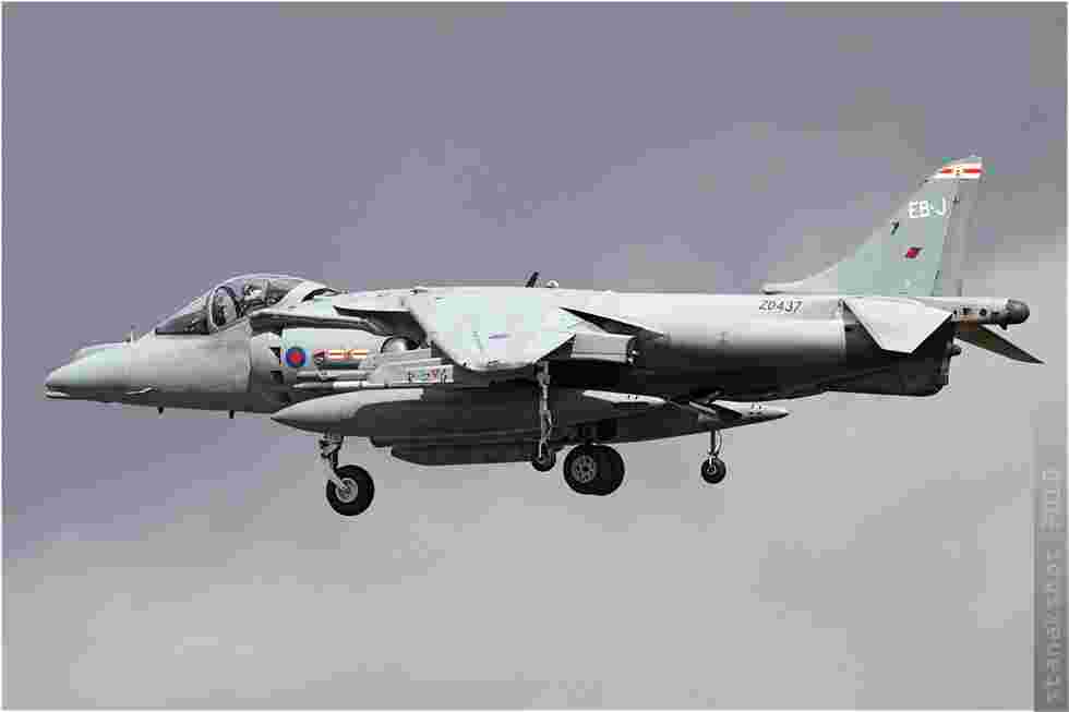 tofcomp#5319-Harrier-Royaume-Uni-air-force