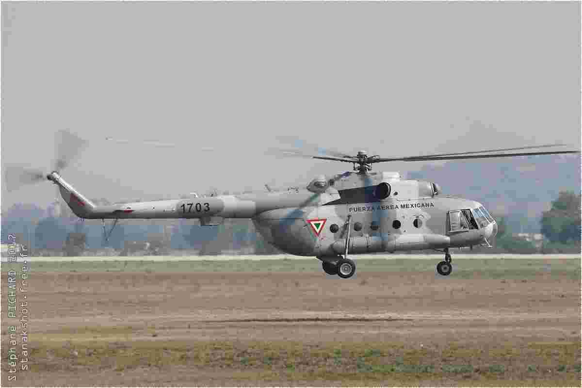 tofcomp#9830-Mi-8-Mexique-air-force